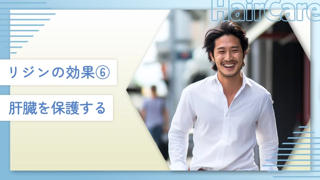リジンの効果⑥肝臓を保護する