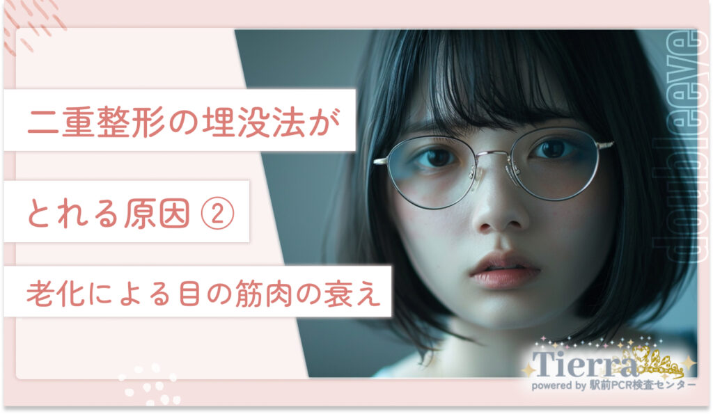 二重整形の埋没法がとれる原因②老化による目の筋肉の衰え