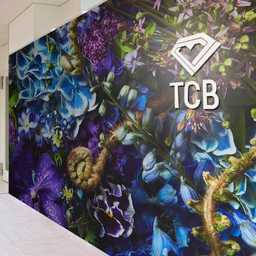 TCB東京中央美容外科品川院の入口