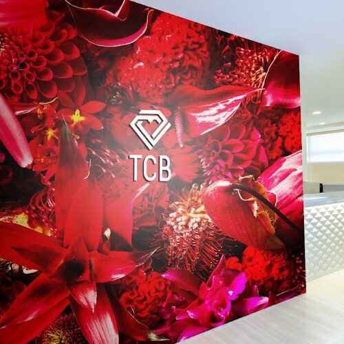 TCB東京中央美容外科