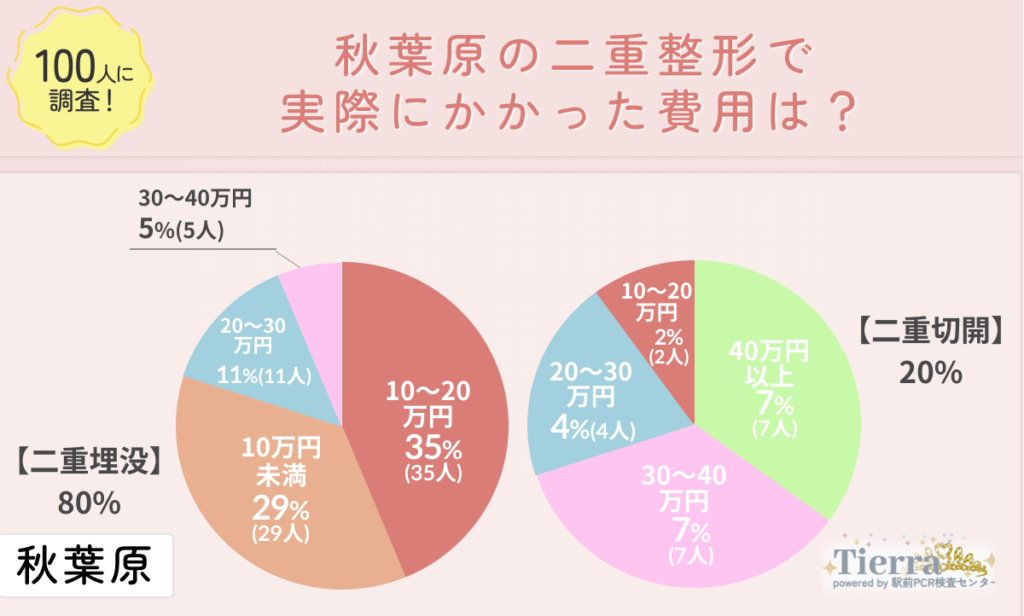 doubleeye-akihabara-an2 秋葉原の二重整形で実際にかかった費用は?
地域:秋葉原