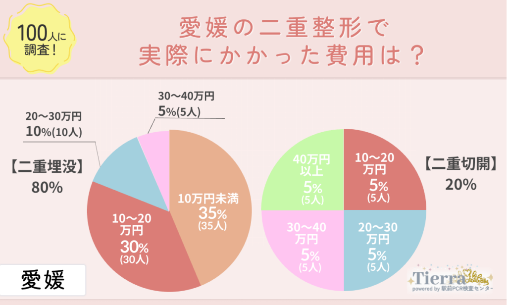 doubleeye-ehime-an2 愛媛の二重整形で実際にかかった費用は?
地域:愛媛